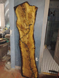 Live edge bar top